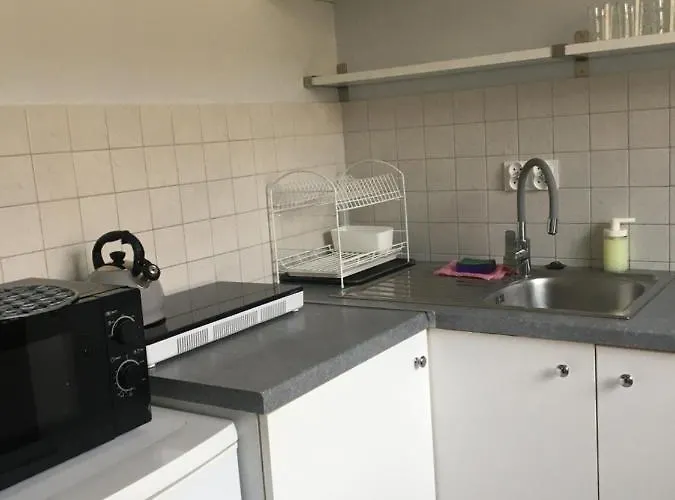 Czaple Na Muchoborze By Na Dni * Wrocław