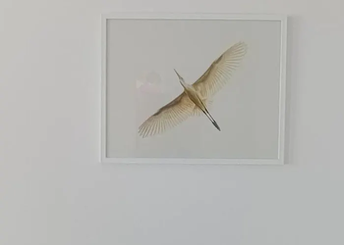 Czaple Na Muchoborze By Na Dni